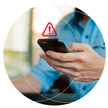 Proalerta +